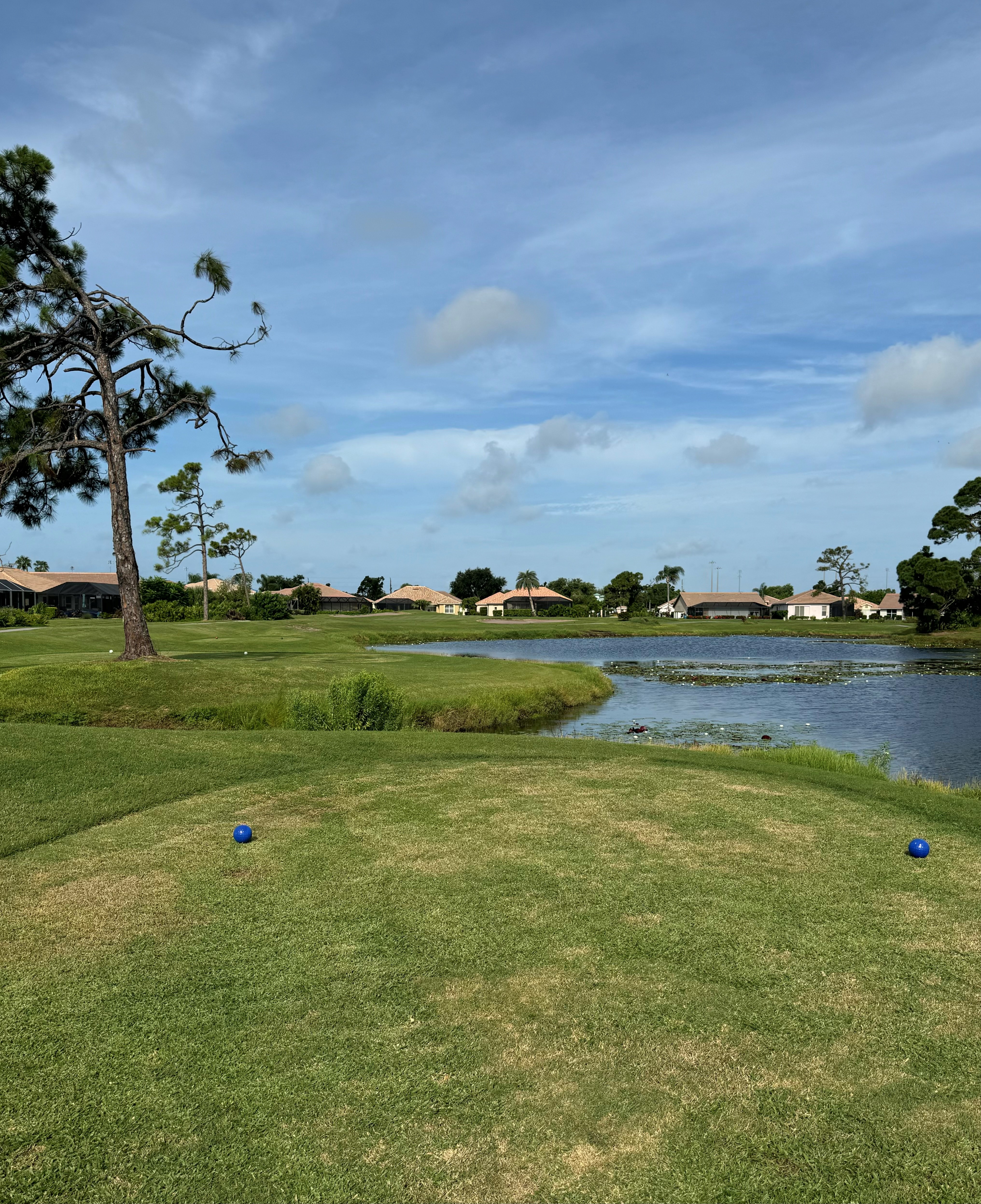 Image of golf ball on tee on grass.